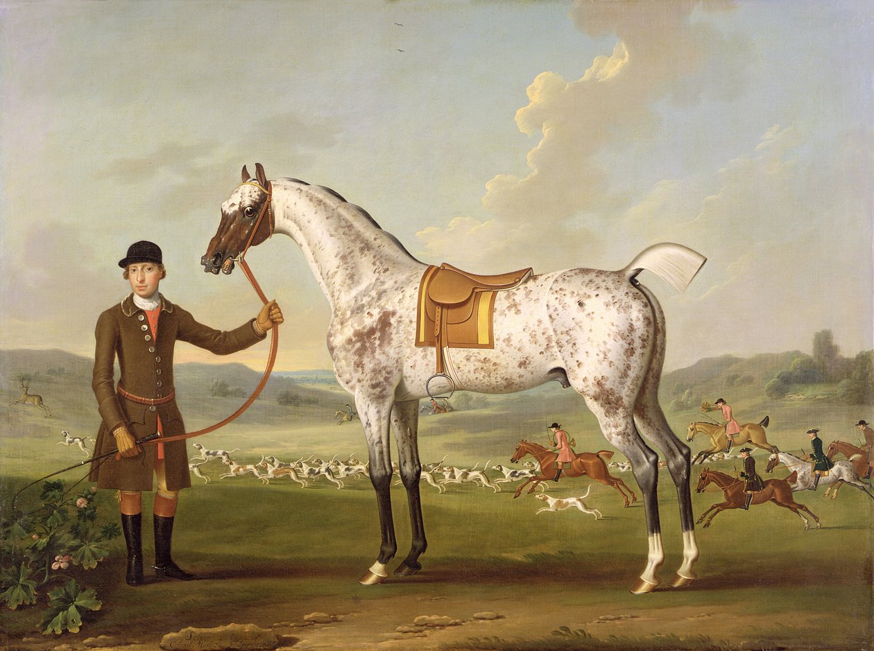 Scipio ، صياد العقيد روش المرقط ، c.1750 بواسطة توماس سبنسر