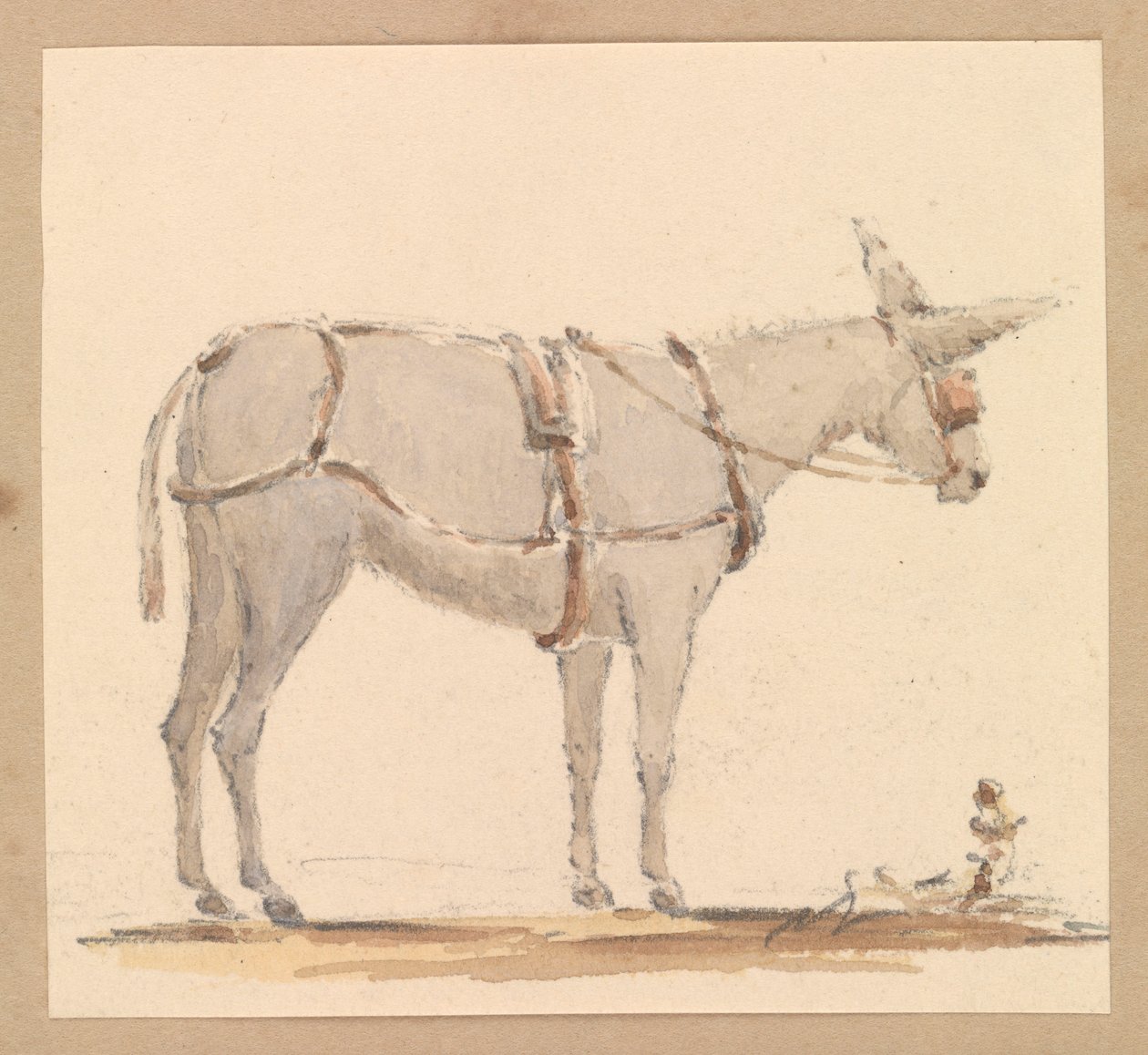 دراسة لحمار مع لجام ولجام ولجام للحمار، حوالي عام 1820 (قلم رصاص مع غسيل بني ورمادي على ورق) بواسطة توماس ستريتفيلد