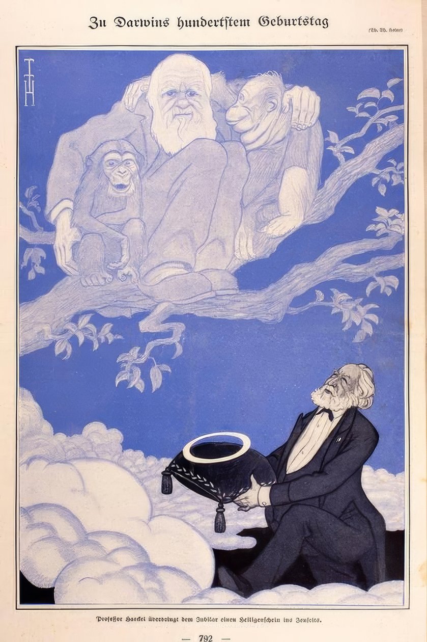 1909 كاريكاتير داروين ، القرود ، هيكل بواسطة توماس ثيودور هاينه