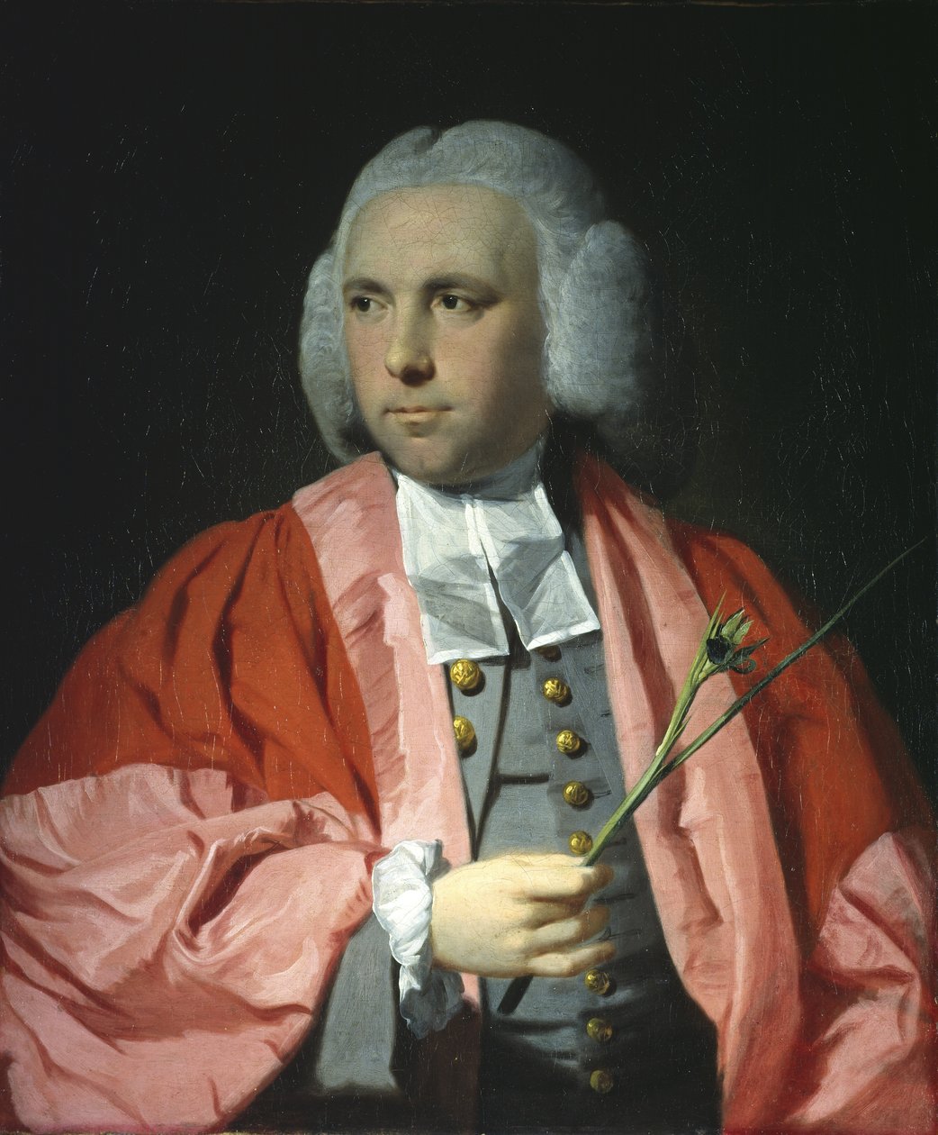 صورة للدكتور دانيال ليسون ، DCL ، MD ، c.1762-68 بواسطة غلاية تيلي