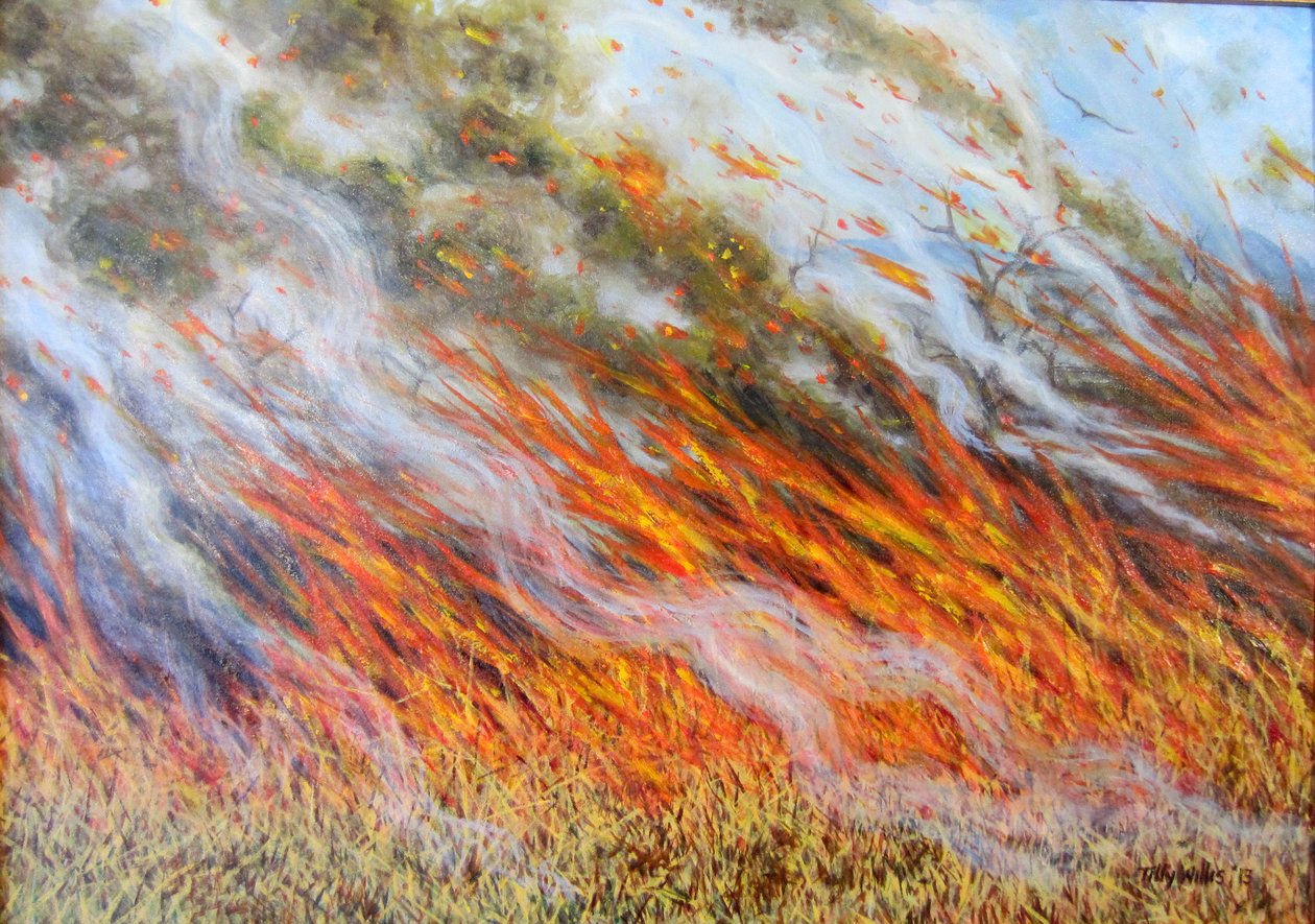 Bushfire جحيم ، 2014 ، بواسطة تيلي ويليس