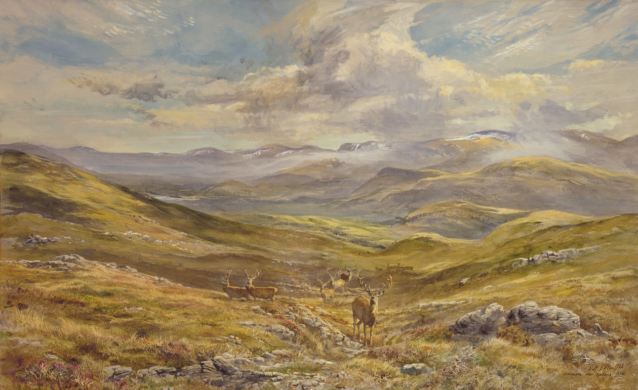 Cairngorms من Kinrara ، 1988 (مرحاض) بواسطة تيم سكوت بولتون