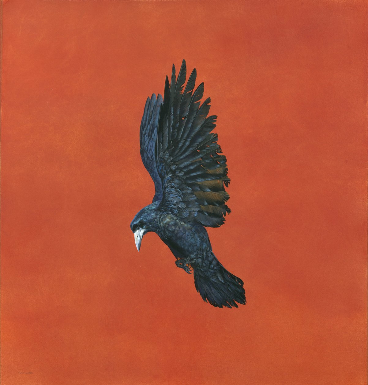 تلميع أحمر ، (ألوان مائية وغواش على ورق مقوّس 640 جم ،) 101.6 × 91.4 سم بواسطة تيم هايوارد