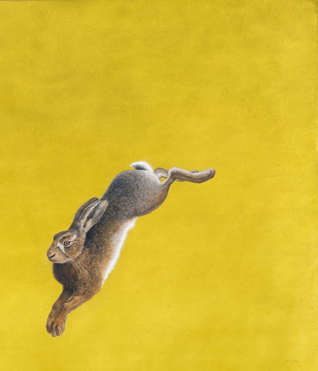Leap-yellow ، ألوان مائية وجواش على ورق مقوى 640 جم ، 101.6 × 86.3 سم بواسطة تيم هايوارد