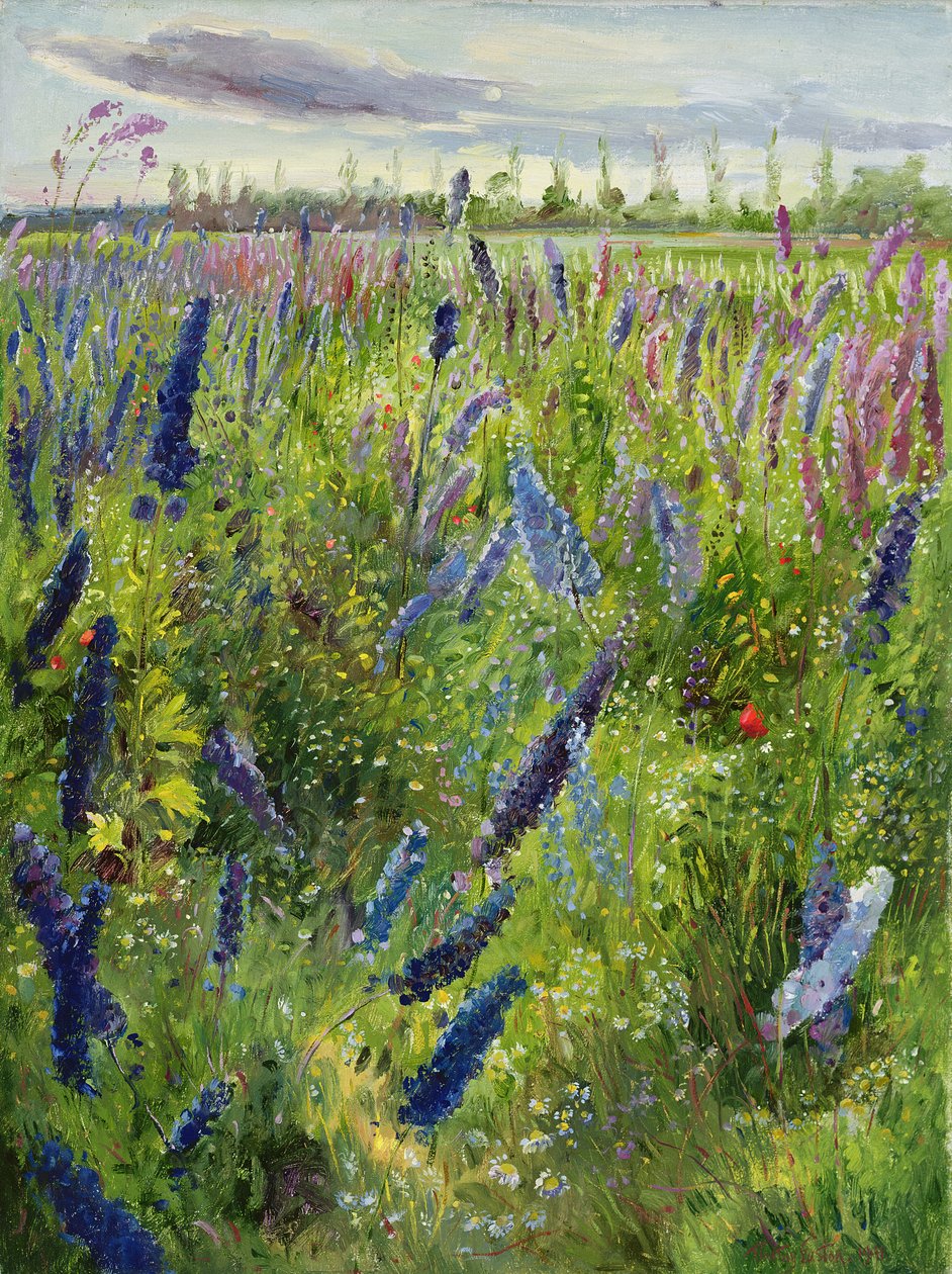 Delphiniums and Emerging Sun، 1991 بواسطة تيموثي ايستون