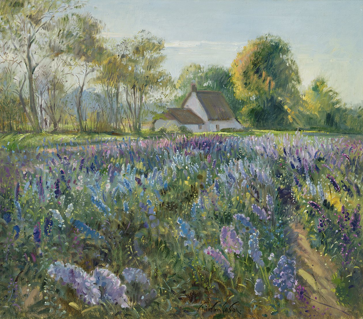 Delphiniums أكتوبر بواسطة تيموثي ايستون