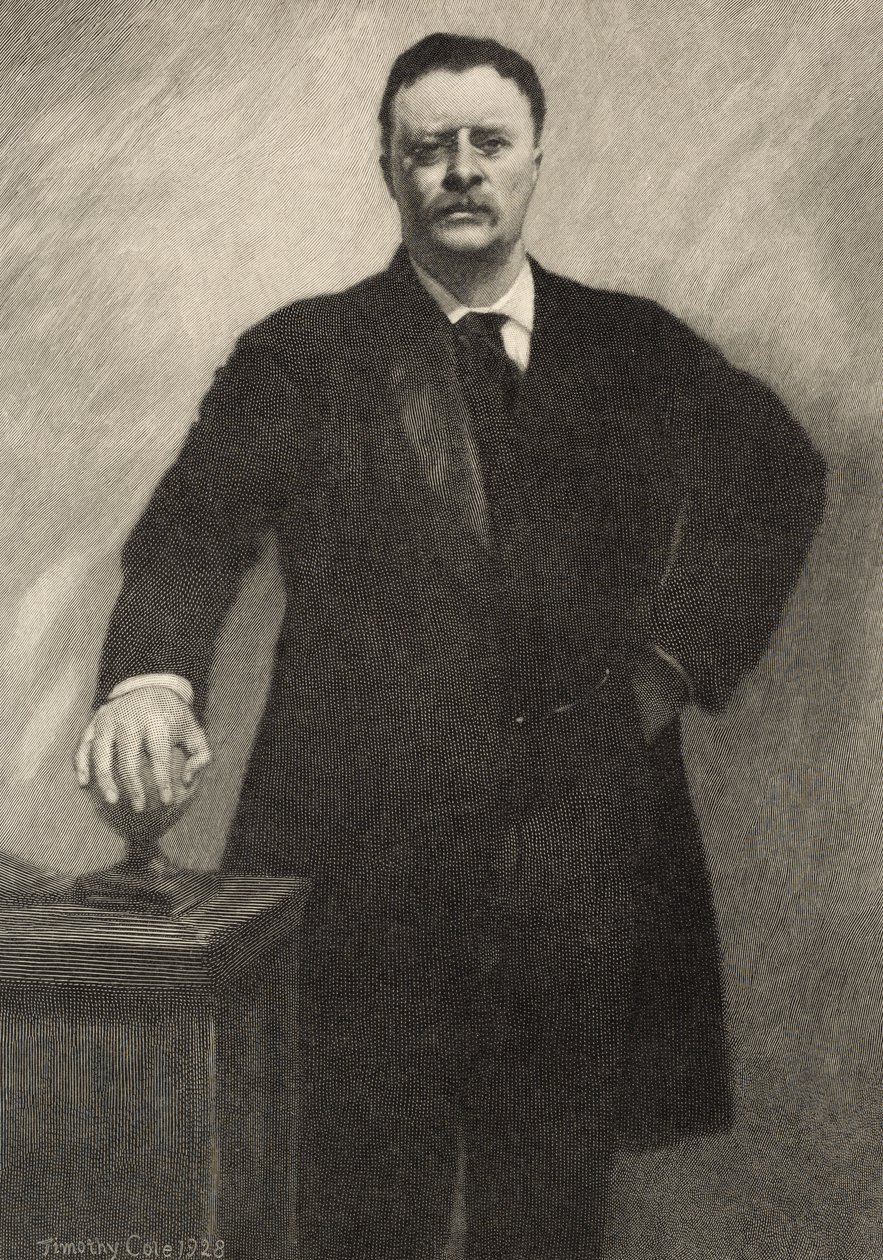 ثيودور روزفلت ، 1928 بواسطة تيموثي كول