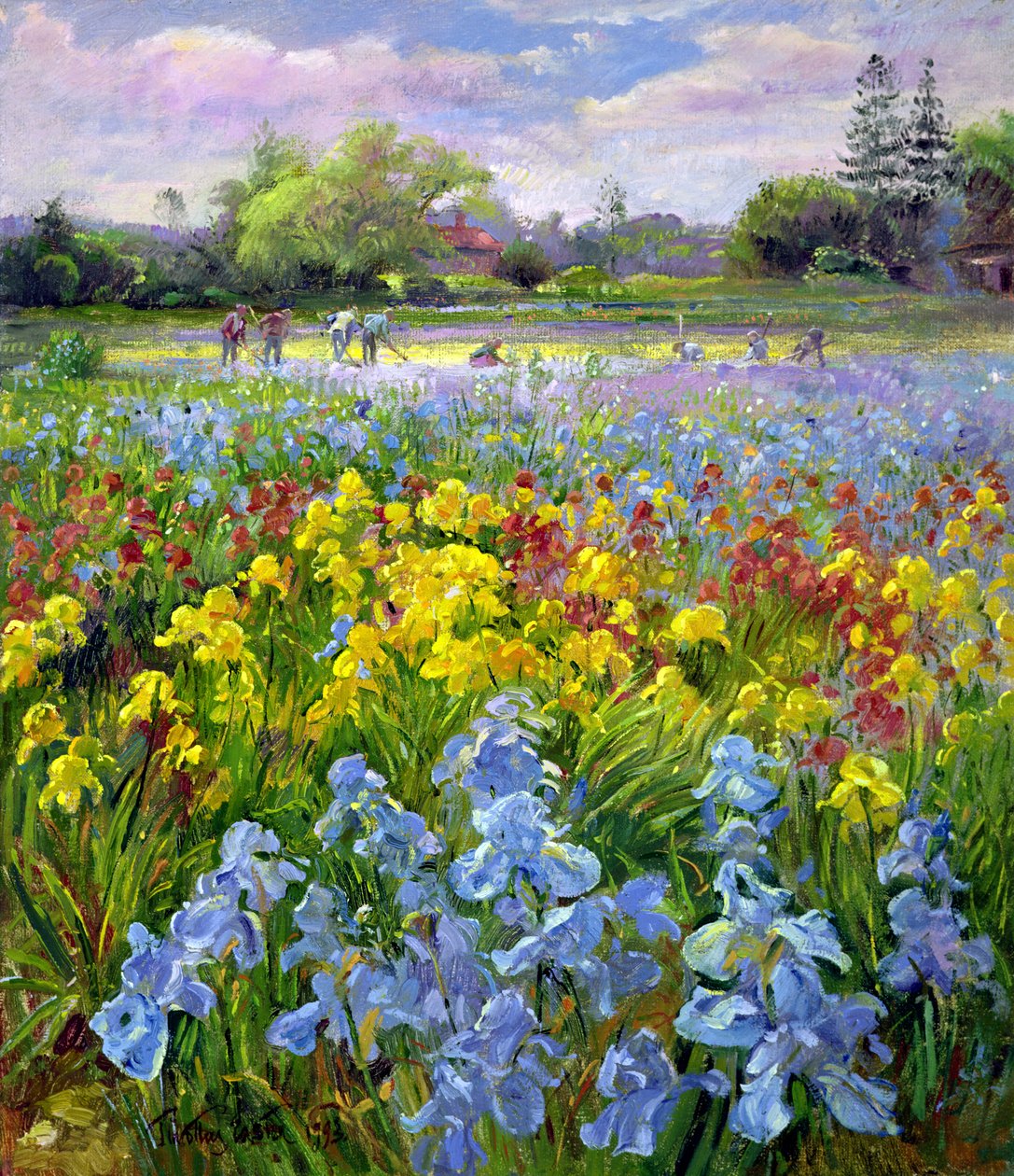 فريق العزق و Iris Fields بواسطة تيموثي ايستون