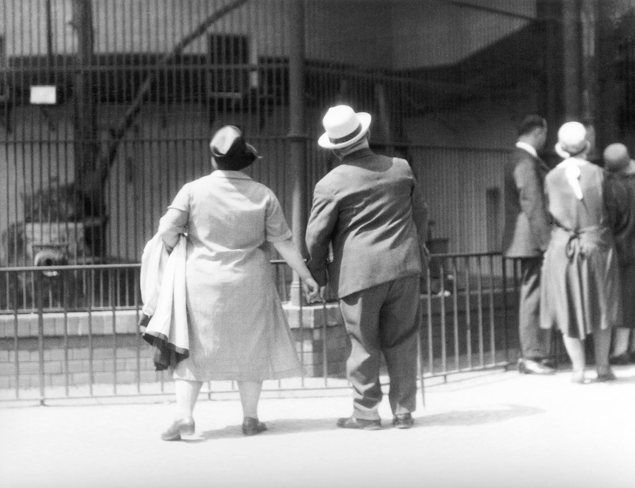 في حديقة الحيوان ، برلين ، ألمانيا ، 1930 بواسطة تينا مودوتي