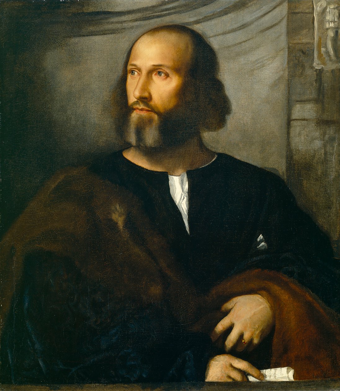 صورة لرجل ملتح ، c.1515 بواسطة تيزيانو فيتشيلي