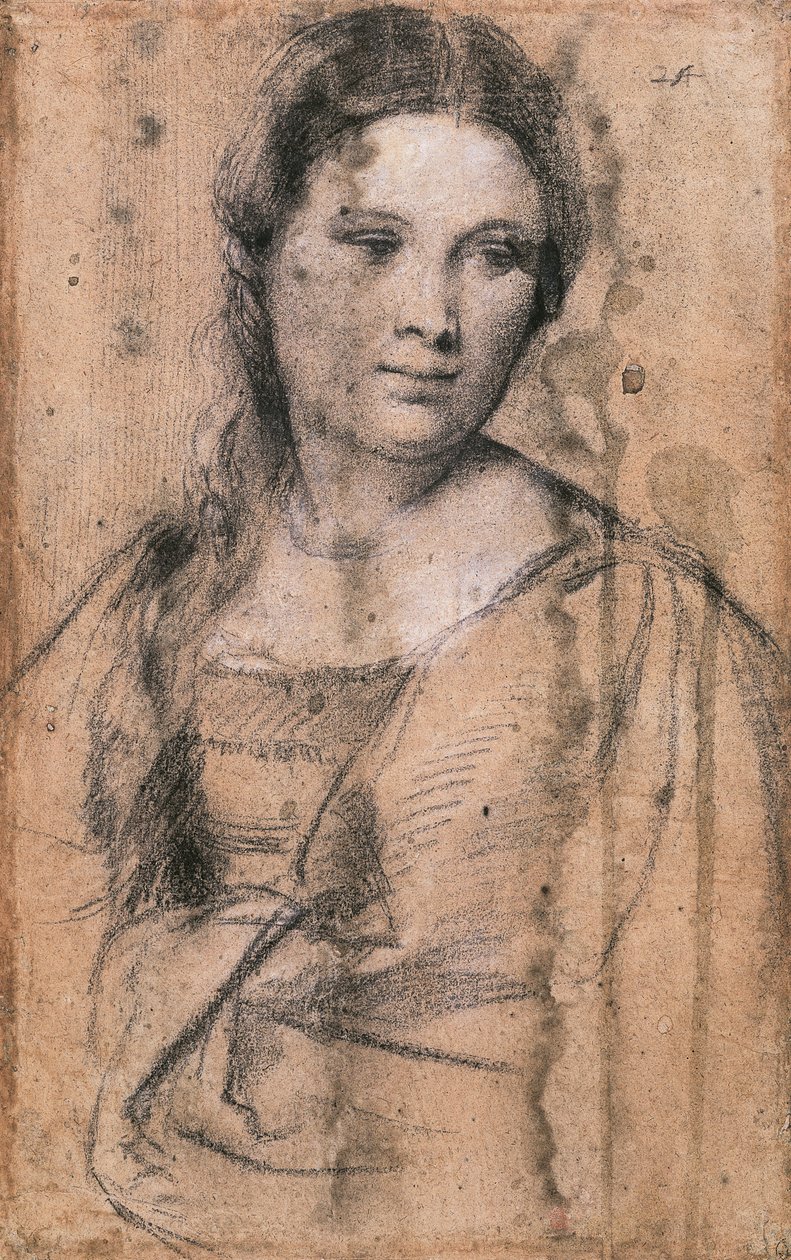صورة لفتاة صغيرة بواسطة تيتيان (حوالي 1490-1576) ، رسم بواسطة تيتيان (1488-1576)