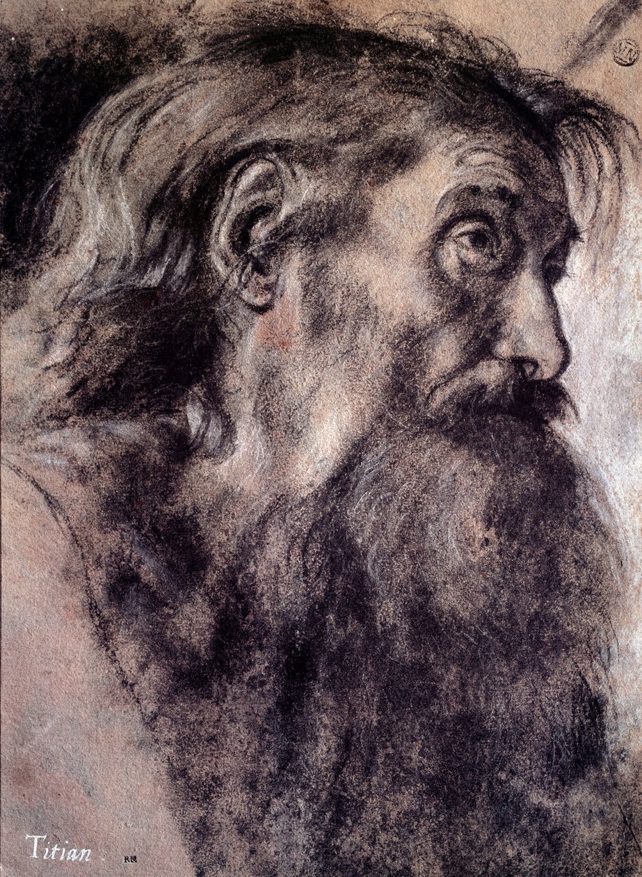 رأس الرجل العجوز رسم تيزيانو فيسيليو المسمى تيتيان (1485-1576) القرن السادس عشر ، باريس ، متحف اللوفر بواسطة تيتيان (1488-1576)