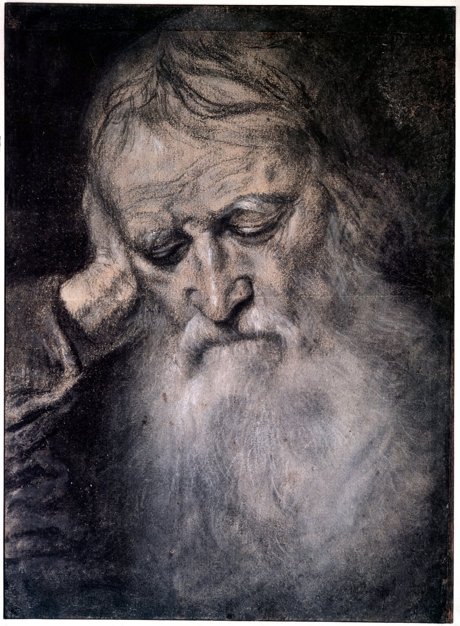 رأس الرجل العجوز رسم تيزيانو فيسيليو المسمى تيتيان (1485-1576) القرن السادس عشر ، باريس ، متحف اللوفر بواسطة تيزيانو فيتشيلي