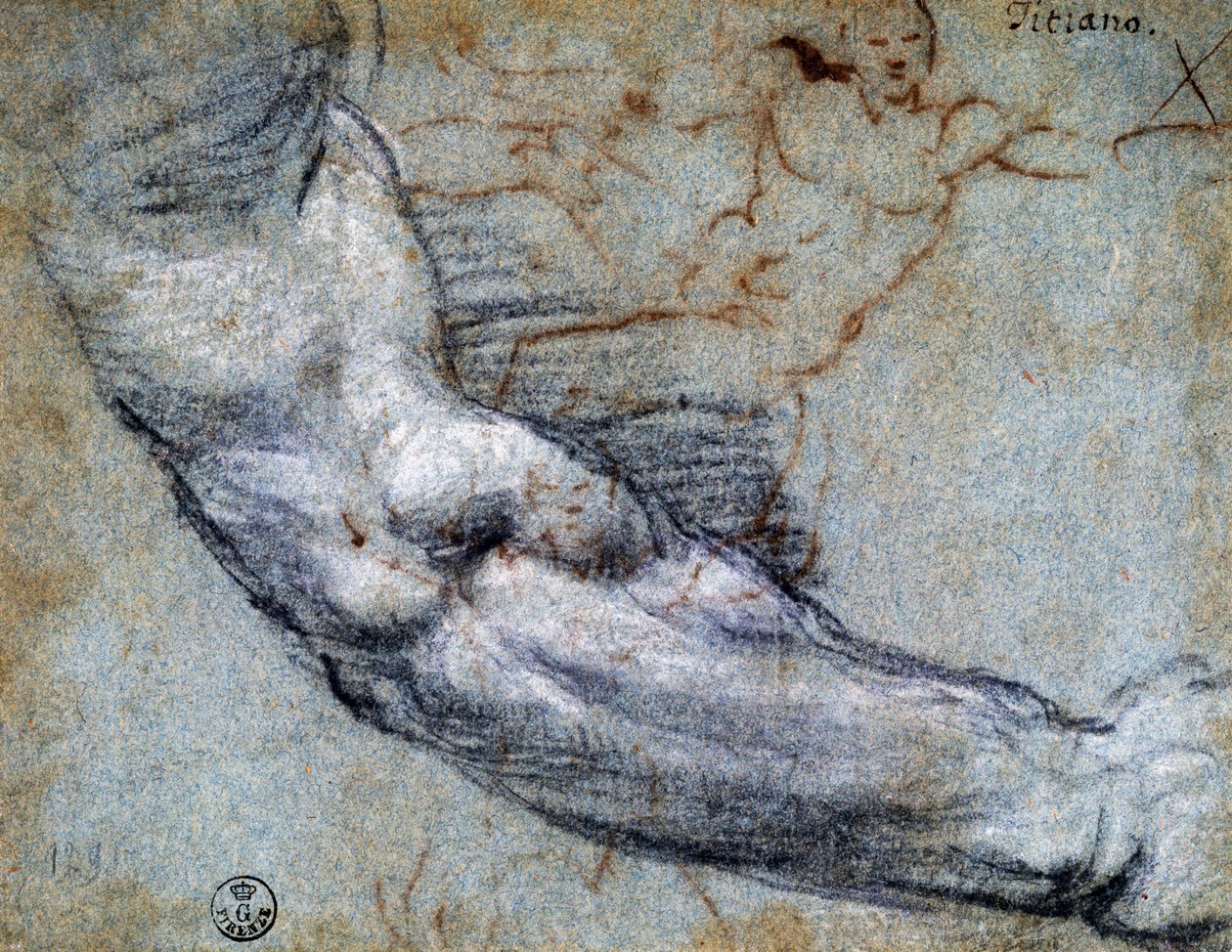 دراسة الذراع ، بواسطة تيتيان (حوالي 1488-1576) ، رسم بواسطة تيتيان (1488-1576)