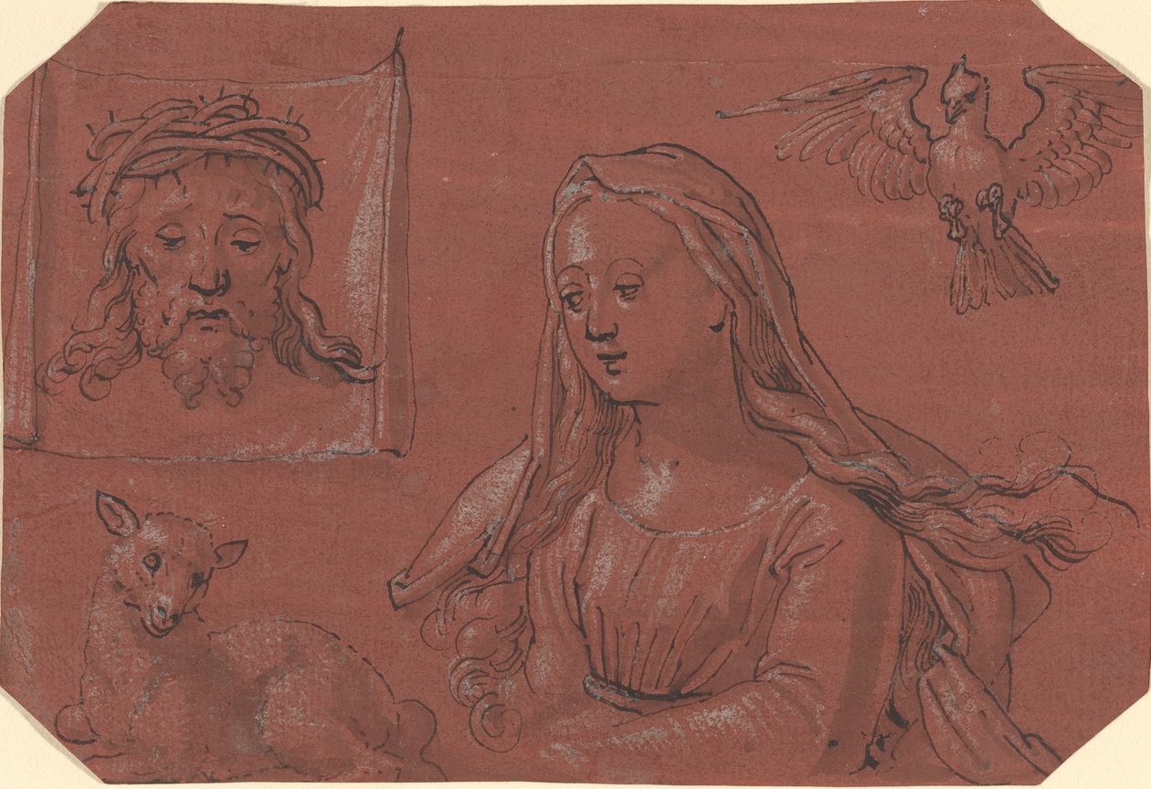 دراسات عن Sudarium و Saint Agnes بواسطة موالف توبياس