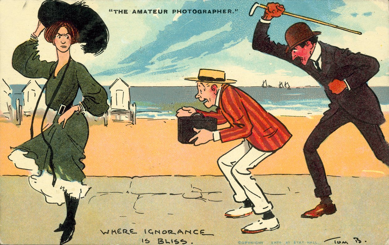 المصور الفوتوغرافي الهاوي (طباعة حجرية ملونة) بواسطة توم براون