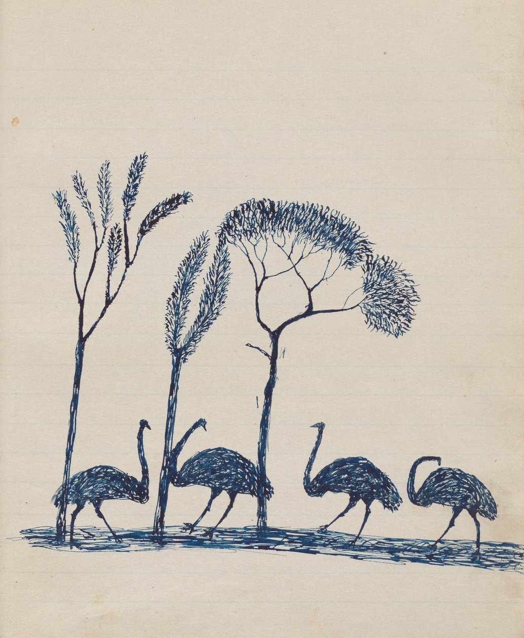 الناس Kwatkwat - (Emus) كراسة الرسم بشكل رئيسي لأنشطة السكان الأصليين والبيض بواسطة تومي ماكراي