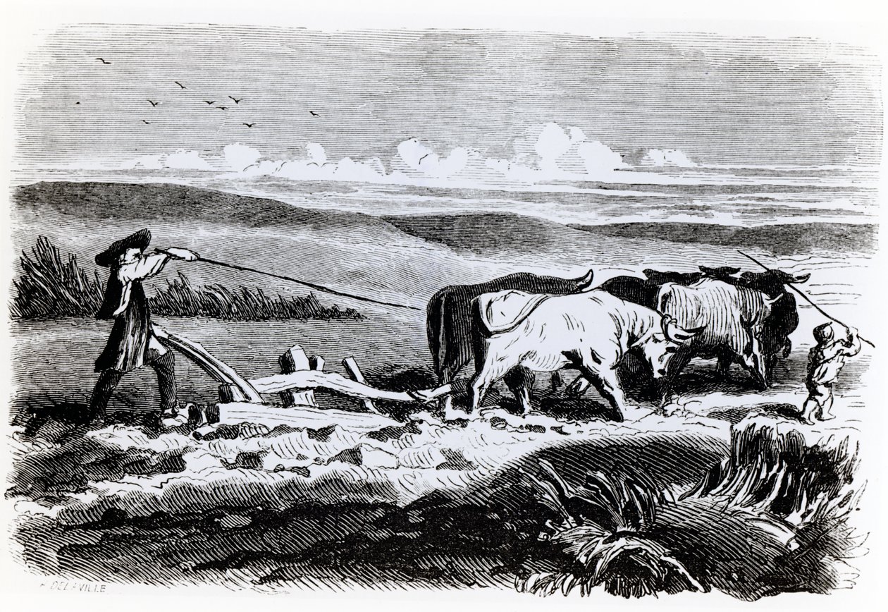 رسم توضيحي من "بركة الشيطان" لجورج ساندز ، 1851 بواسطة توني جوهانو
