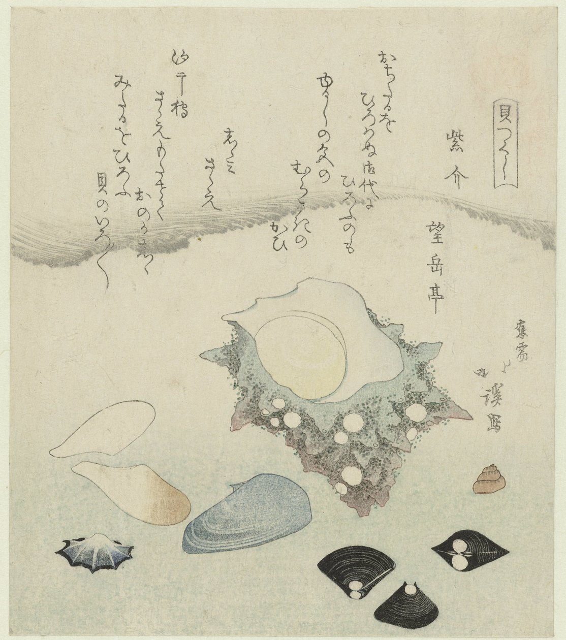 صدفة أرجوانية ، محار المياه العذبة وصدفة عمامة Murasakigai shijimi sazae (العنوان على الكائن) سلسلة قذائف (عنوان المسلسل) كايتسوكوشي (عنوان السلسلة على الكائن) بواسطة توتو هوكي