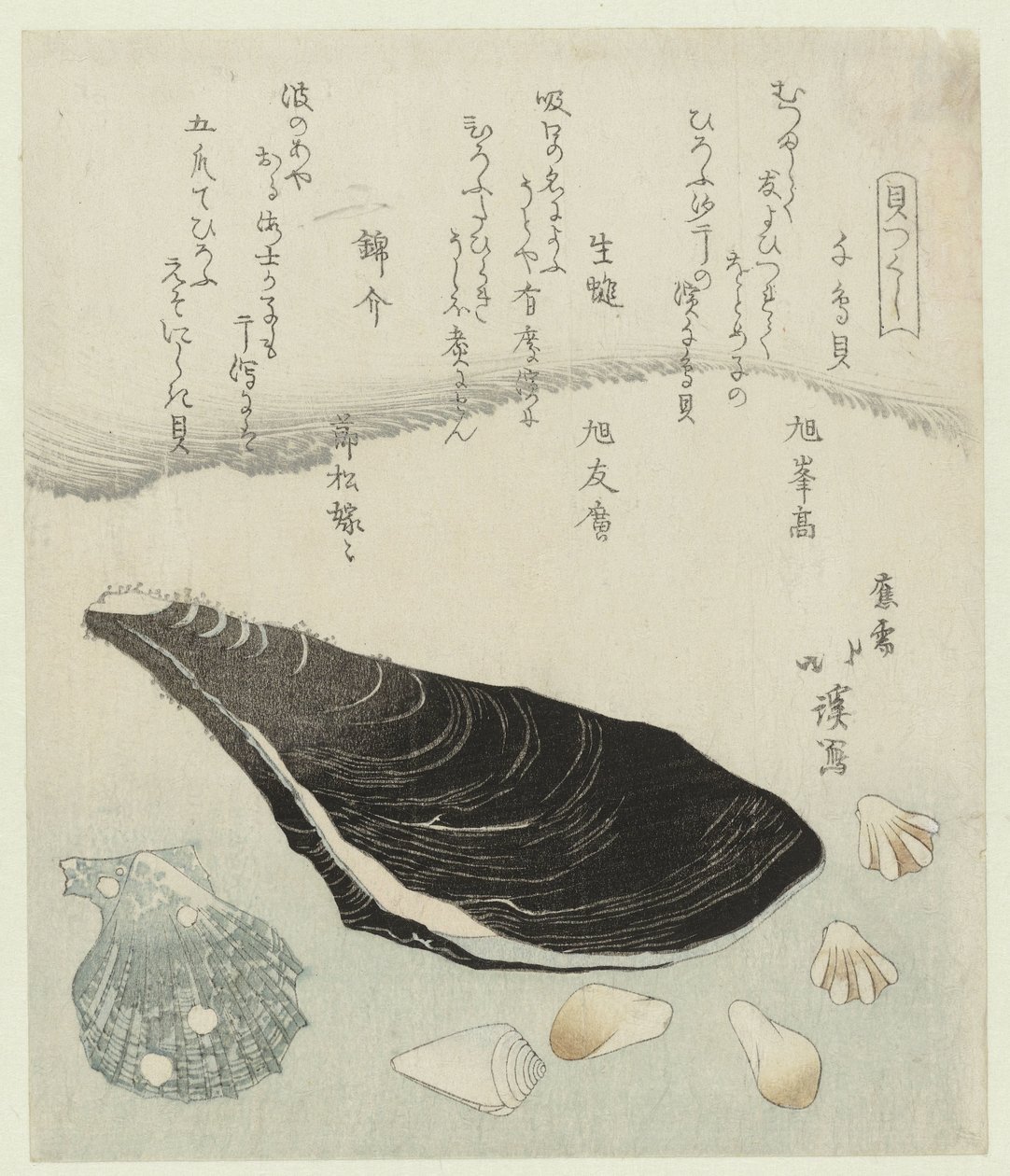 قذائف الزقزاق وبلح البحر الخام وقذيفة الديباج Chidorigai namakaki nishikigai (العنوان على الكائن) سلسلة قذائف (عنوان المسلسل) كايتسوكوشي (عنوان المسلسل على الكائن) بواسطة توتو هوكي