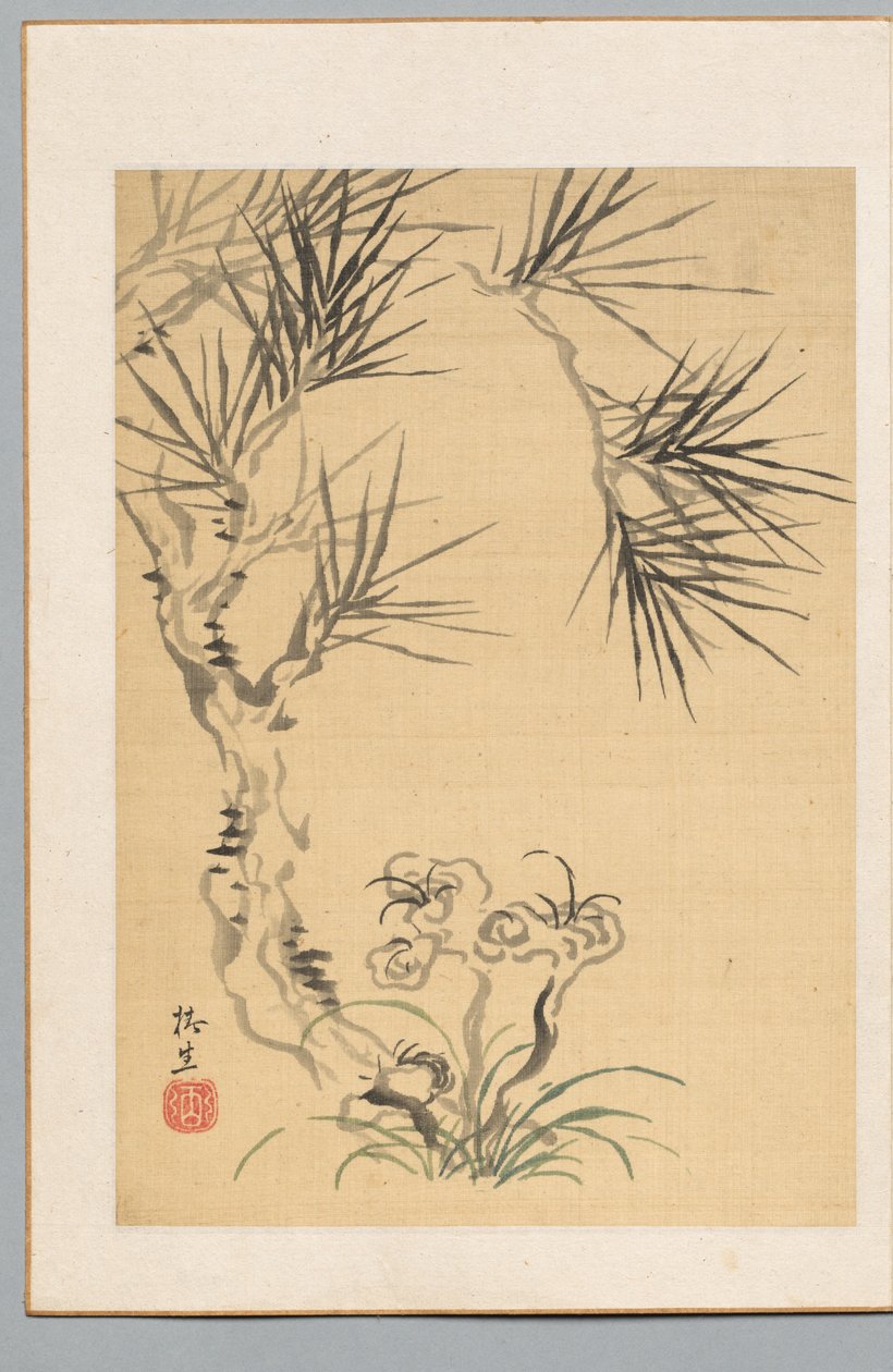شجرة الصنوبر والفطريات بواسطة Tsubaki Chinzan