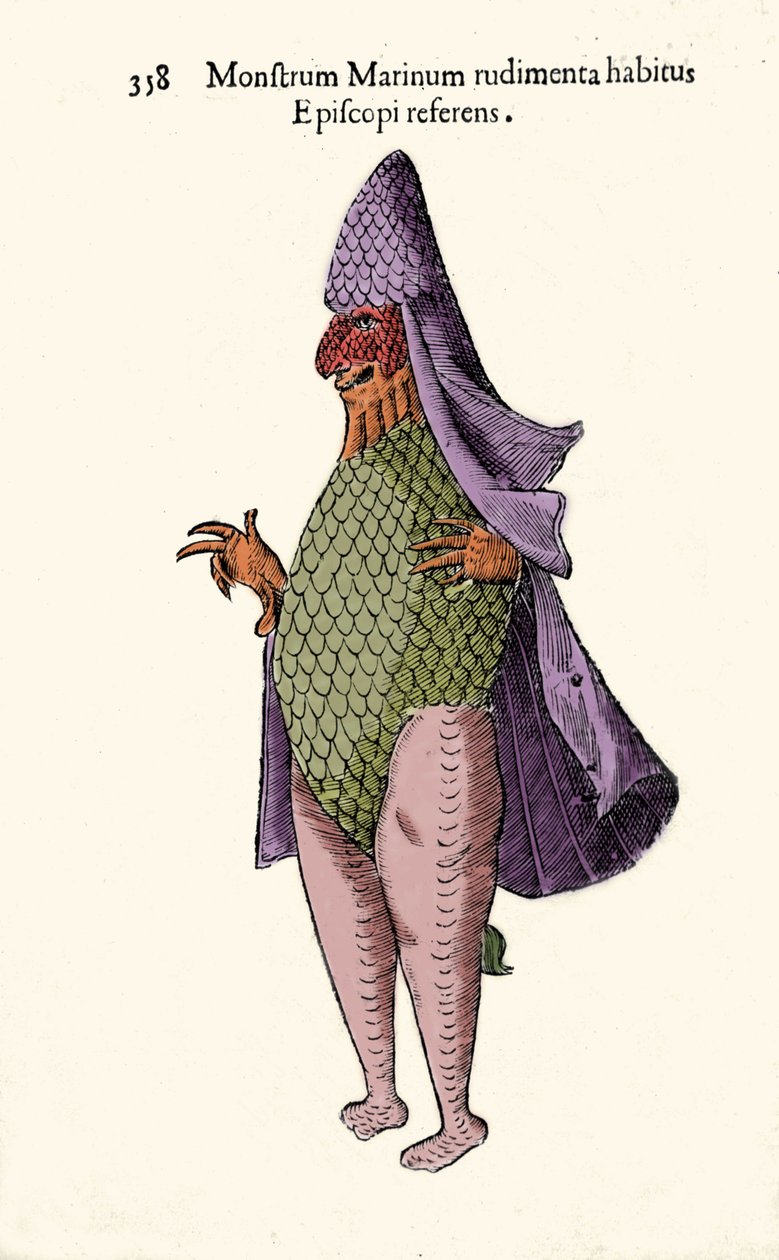 البحر Feveque ، سمكة خيالية ووحش بحري من تأليف Ulisse Aldrovandi (1522-1605) ، "Monster History" ، "Bologna 1642 بواسطة Ulisse Aldrovandi