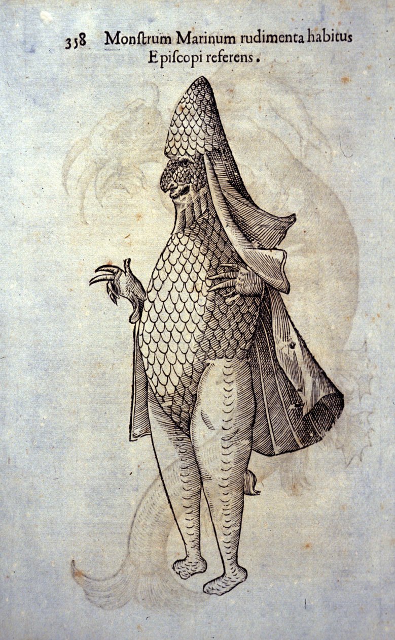 البحر Feveque ، سمكة خيالية ووحش بحري من تأليف Ulisse Aldrovandi (1522-1605) ، "Monster History" ، "Bologna 1642 بواسطة Ulisse Aldrovandi