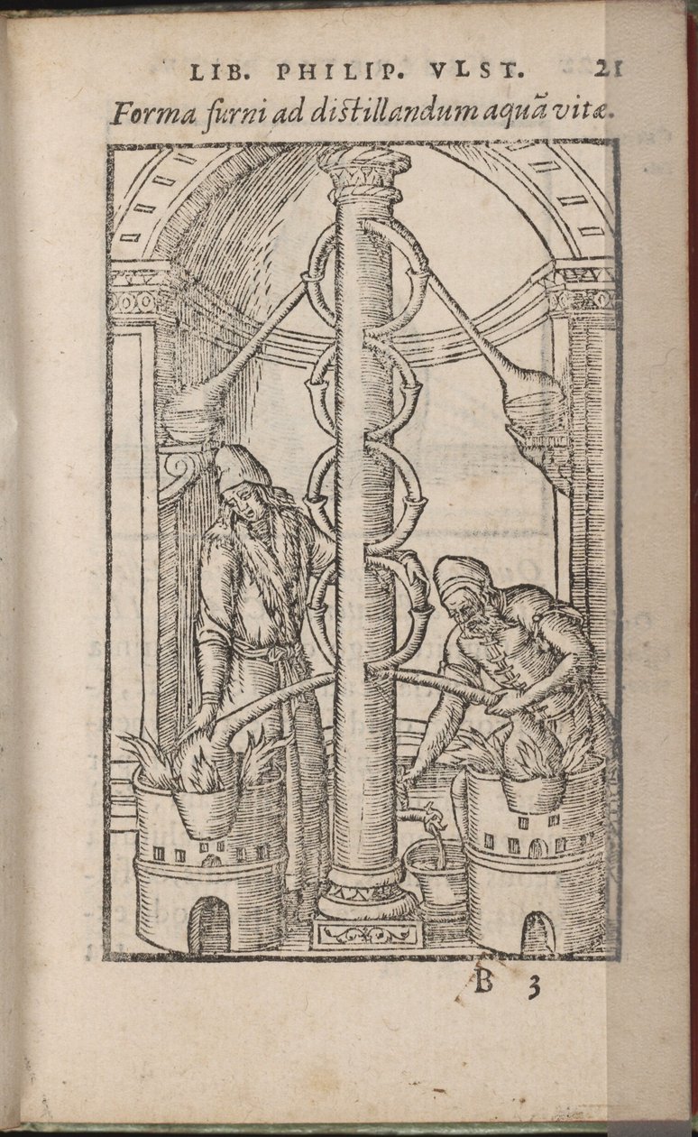 من الأجهزة الخيميائية: أسرار الطبيعة ، 1556-1557 بواسطة Ulstadius