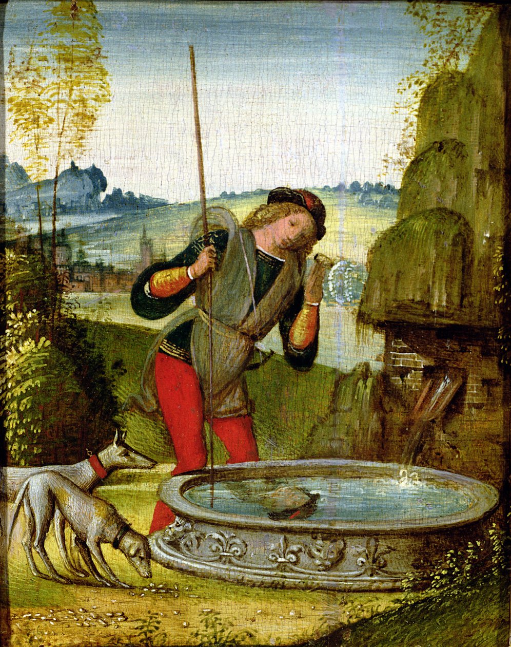 Narcissus بواسطة مدرسة أمبريان