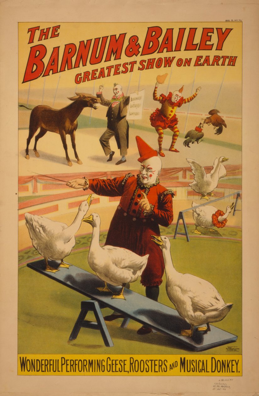ملصق Barnum and Bailey Circus ، c.1900 (chromolithograph) بواسطة غير معروف غير معروف