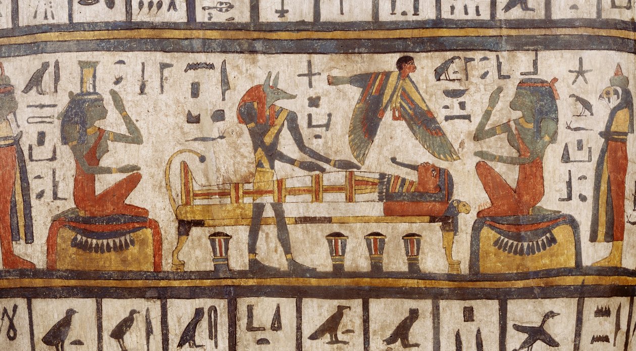 الصندوق الخارجي لبيتيسيس بواسطة غير معروف غير معروف