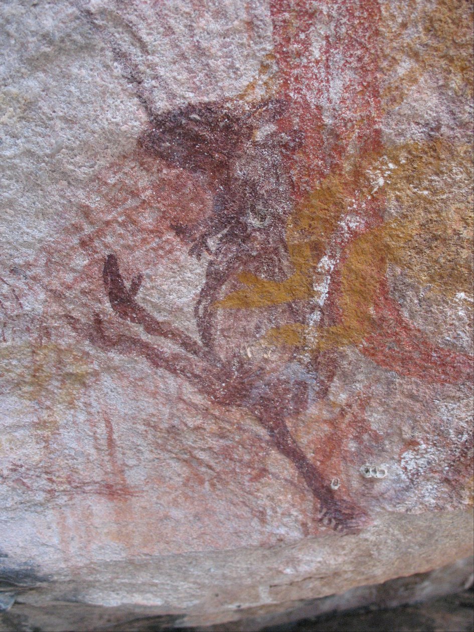 wallaby الأرجواني الصغيرة بواسطة غير معروف غير معروف