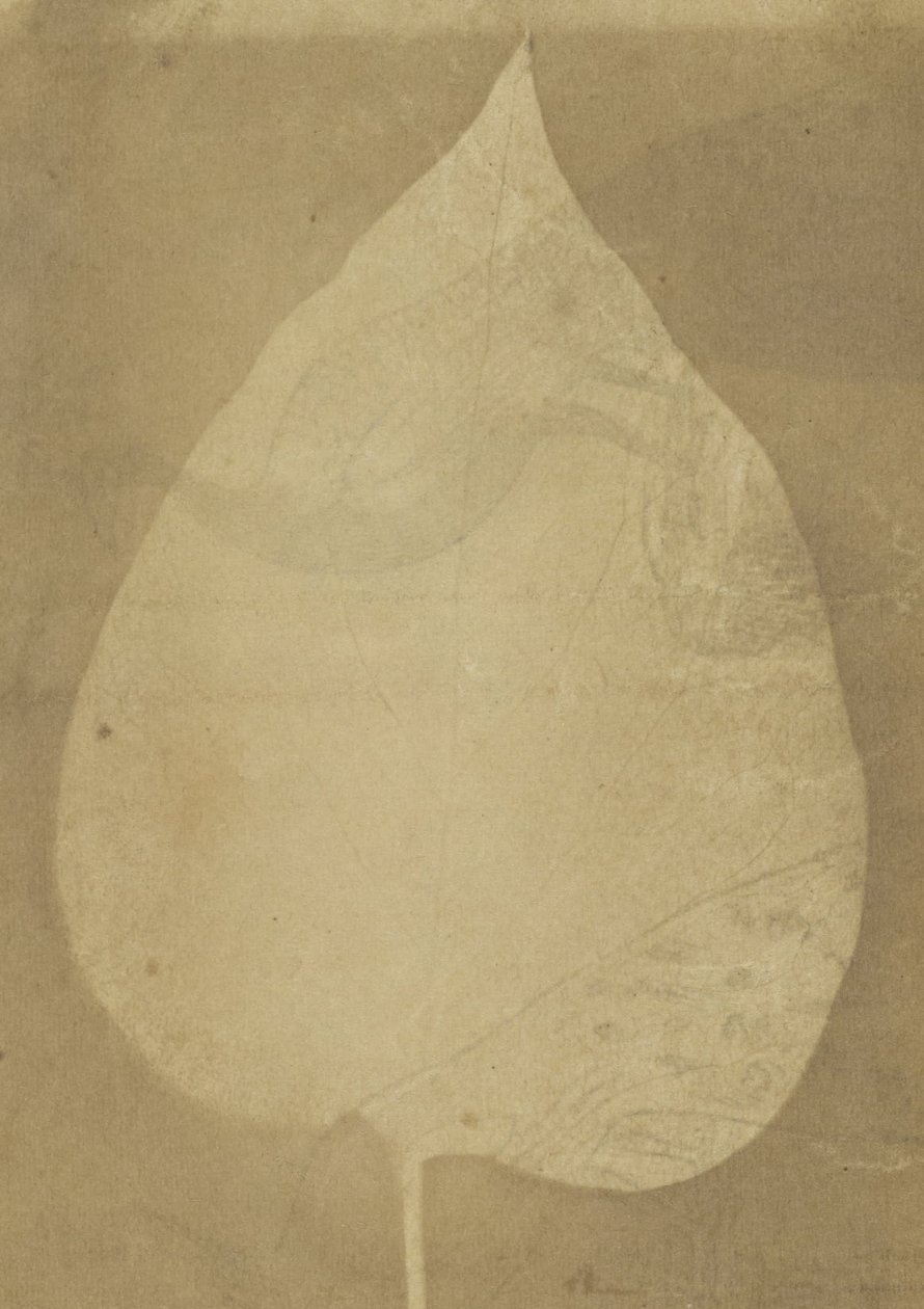 صانع غير معروف ، بريطاني ، نشط في الهند حوالي عام 1843 - (ورقة واحدة) بواسطة غير معروف غير معروف