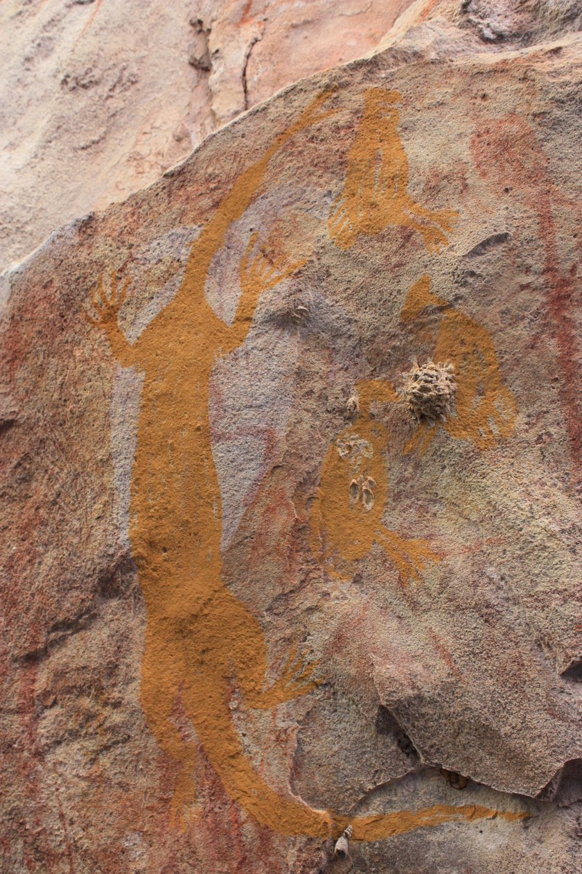 goanna الأصفر وثلاثة طيور صغيرة العسل بواسطة غير معروف غير معروف