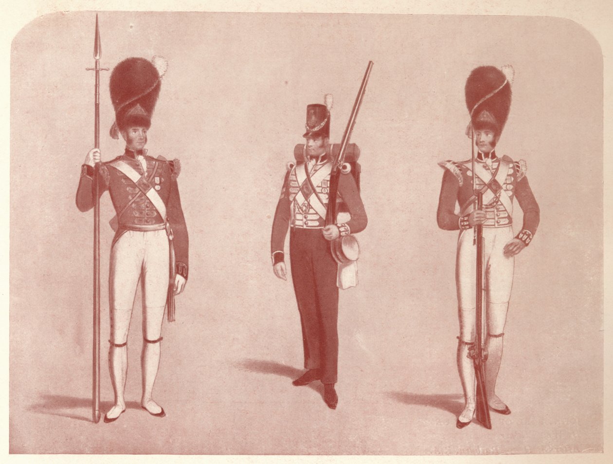الفوج الأول أو غرينادير للحراس في عام 1815 ، 1909 بواسطة غير معروف