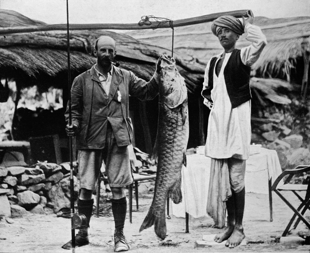 59 رطلًا محسير ، قبض عليه النقيب HBD Campbell ، RE ، في الغانج العليا ، c1903 ، 1903 بواسطة غير معروف