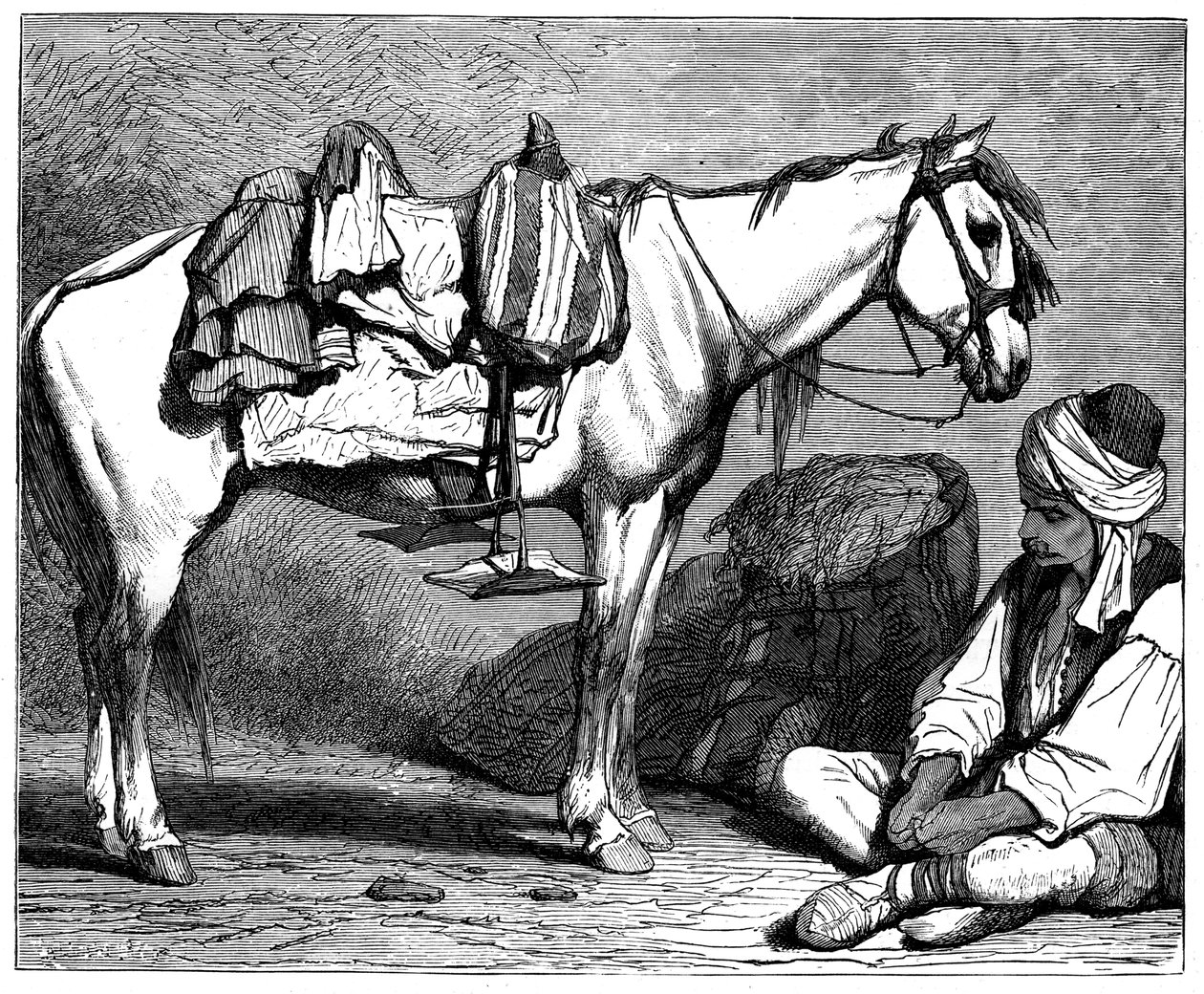 فلاح بوسني ، c1890 بواسطة غير معروف