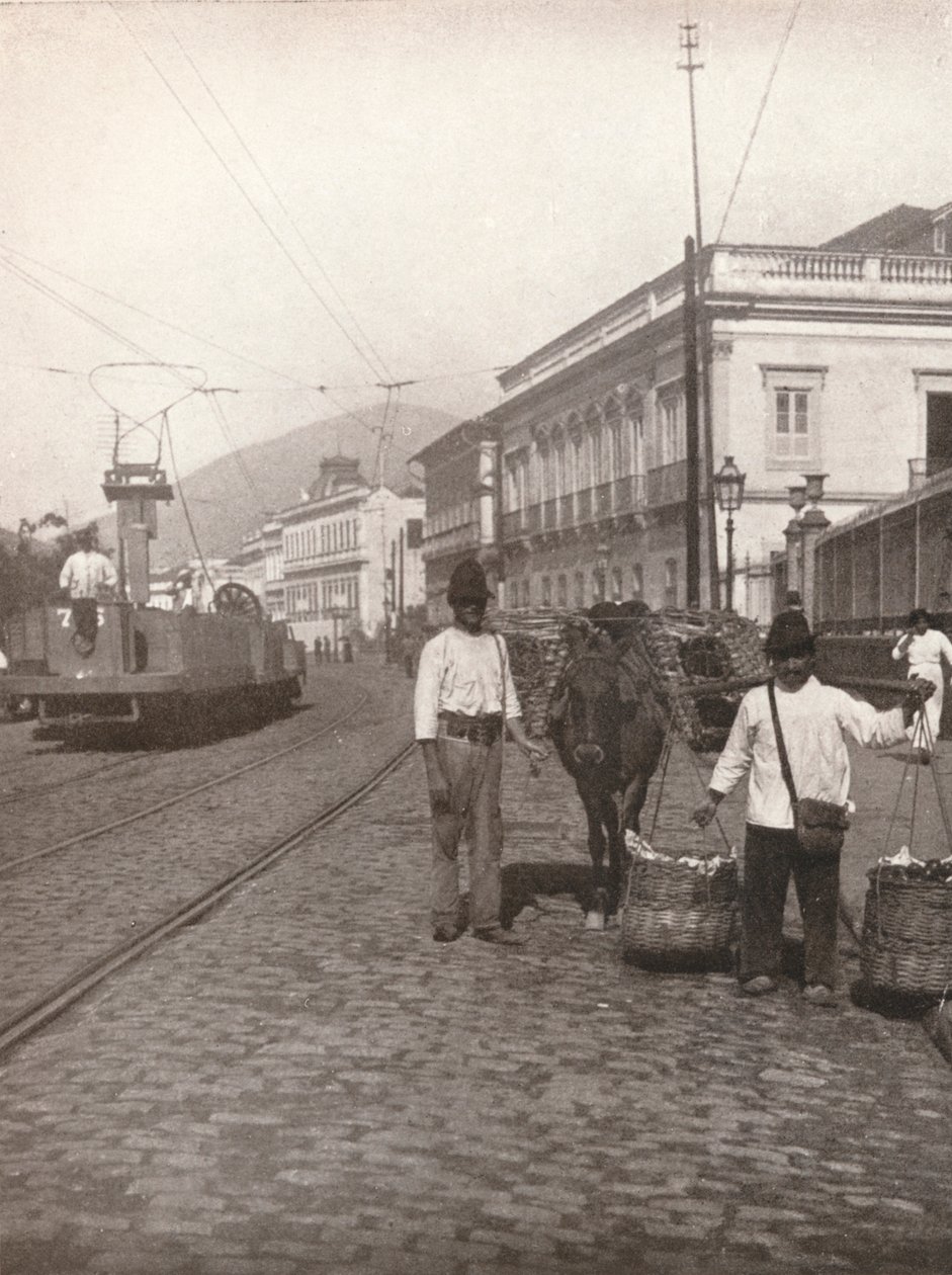مشهد شارع بوتافوجو ، ريو ، 1914 بواسطة غير معروف