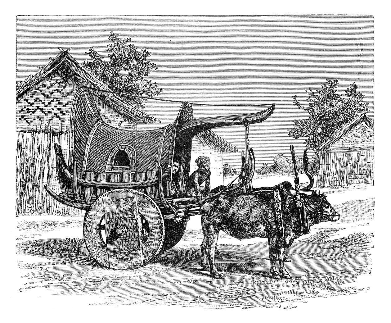 عربة بورمية ، بورما ميانمار ، 1895 بواسطة غير معروف