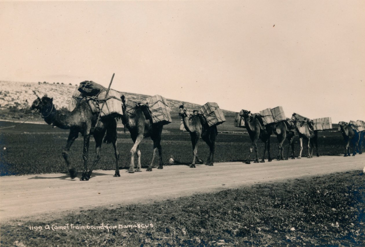 قطار الجمل المتجه إلى دمشق عام 1936 بواسطة غير معروف