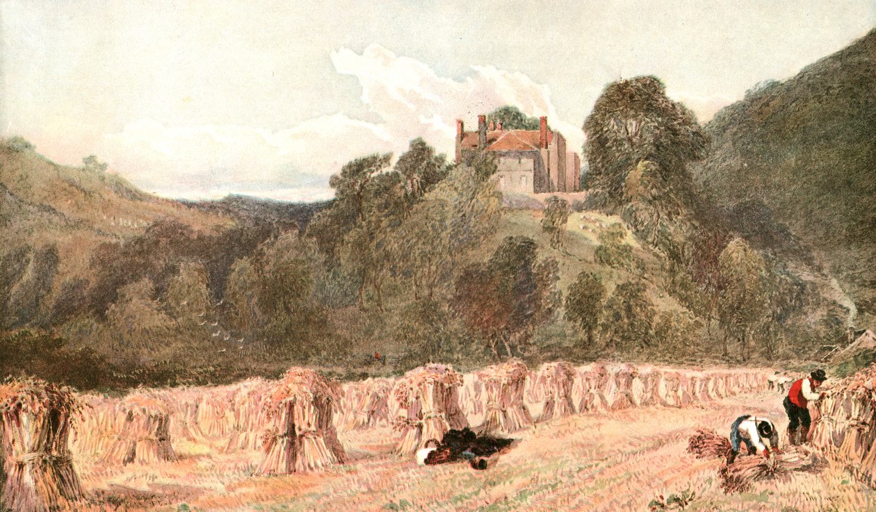 A Cornfield، c1840s، c1900. بواسطة غير معروف