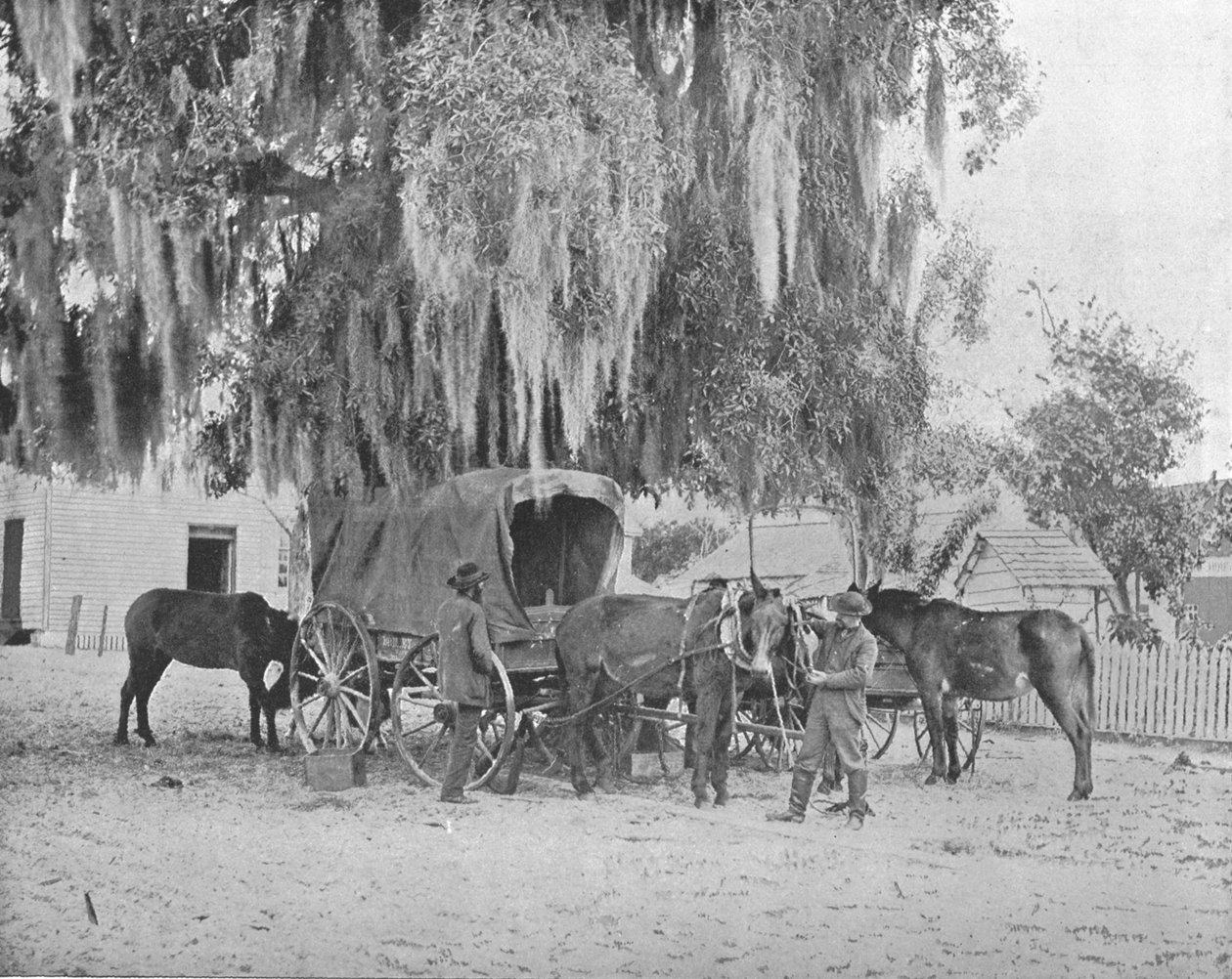 تاجر من سان أنطونيو ، تكساس ، الولايات المتحدة الأمريكية ، c1900. بواسطة غير معروف