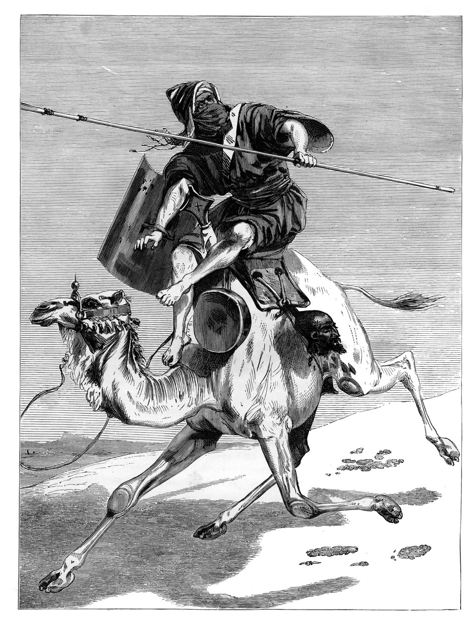 محارب مغربي ، c1890 بواسطة غير معروف