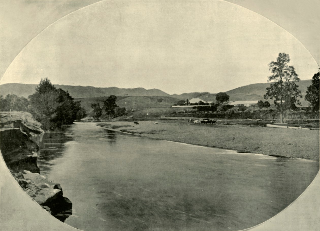 A New South Wales Station Homestead، 1901. بواسطة غير معروف