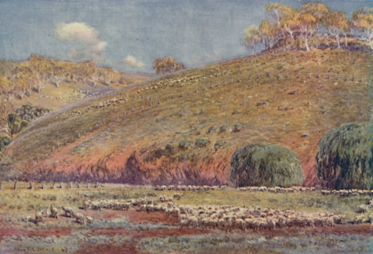 خروف ، 1923. بواسطة غير معروف