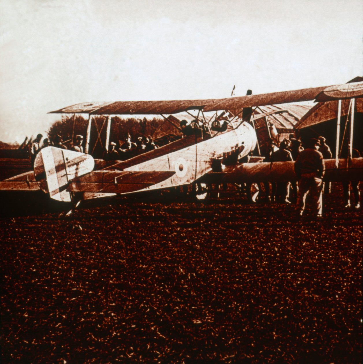 جمل Sopwith ، c1917-c1918 بواسطة غير معروف