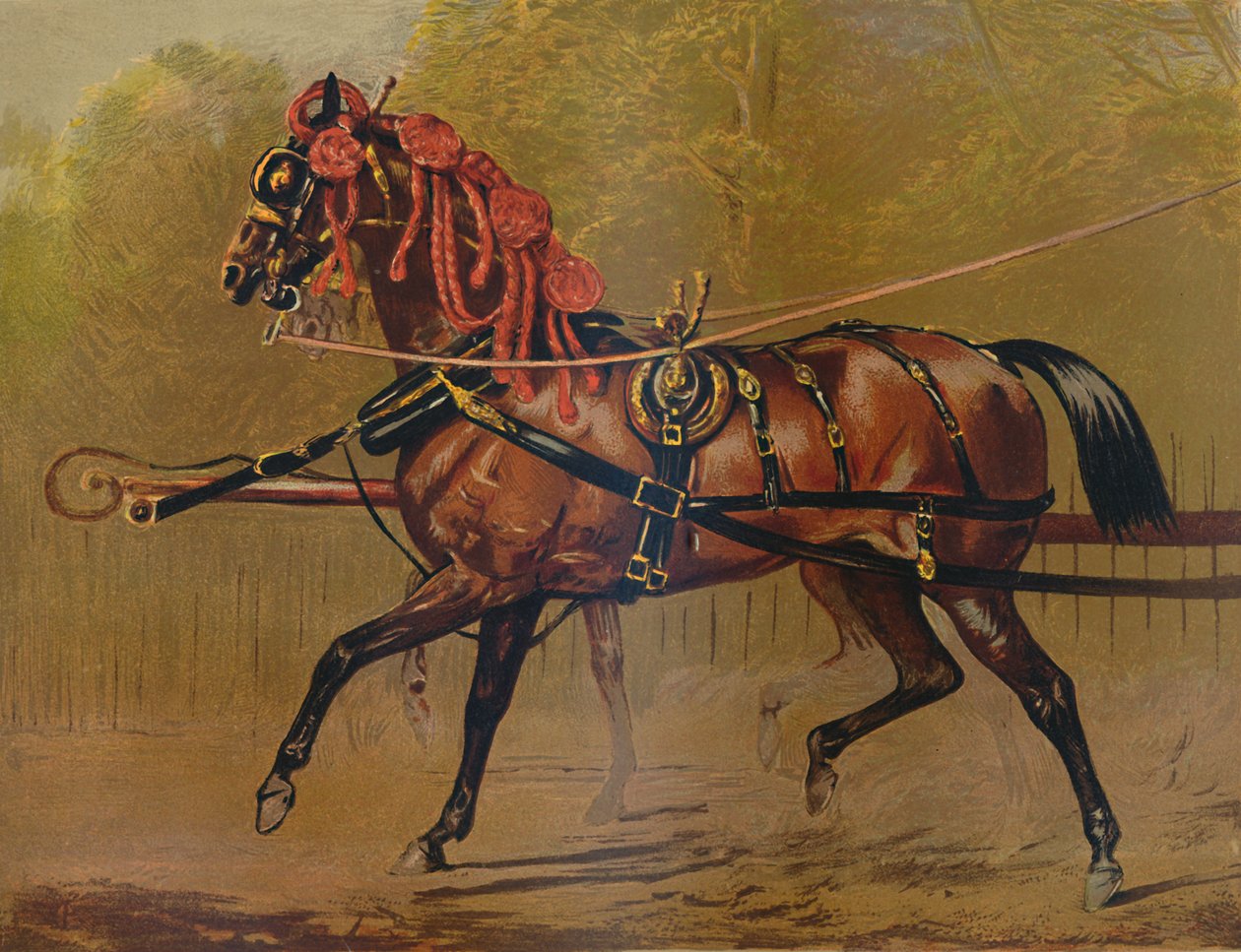حصان عربة الدولة ، c1879. بواسطة غير معروف