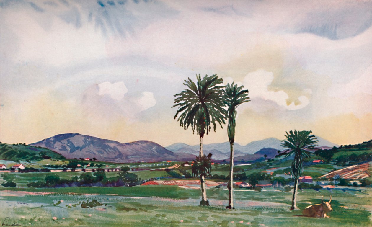 جزء من ضواحي ريوس الشمالية الغربية ، على طول طريق السكة الحديد المركزية ، 1914 بواسطة غير معروف