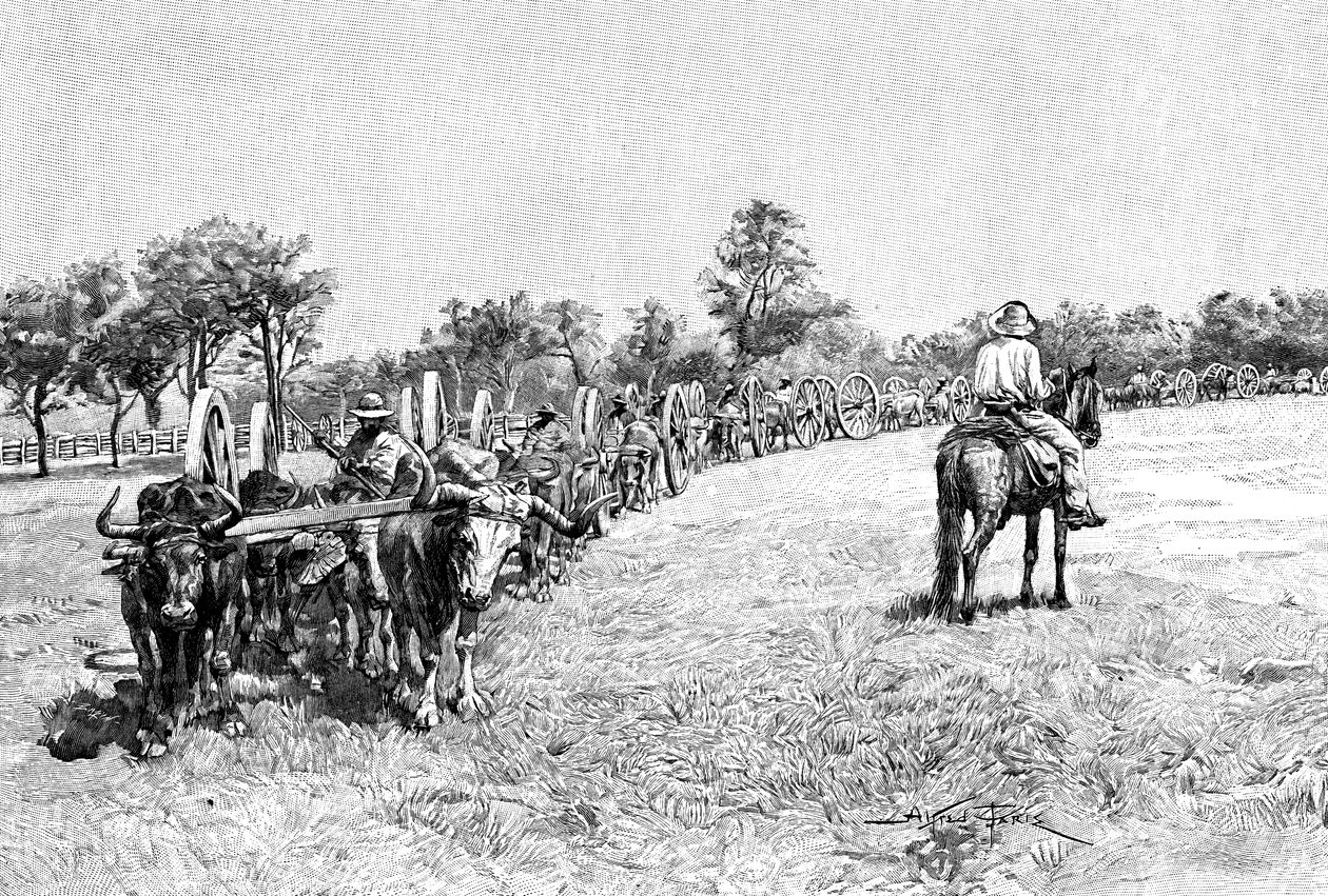 قافلة عربات ، أمريكا الجنوبية ، 1895 بواسطة غير معروف