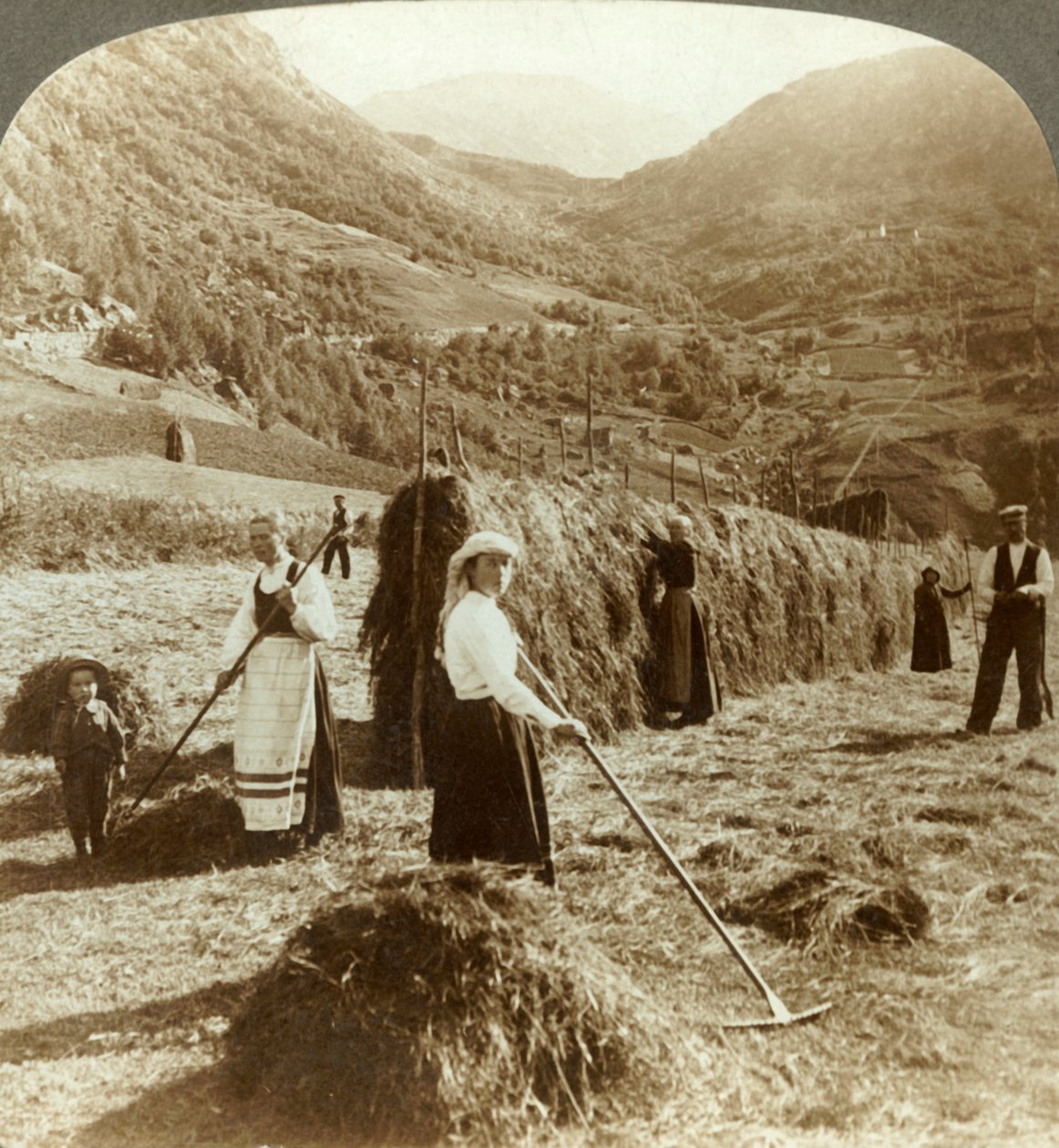 عائلة مزارعة تصنع القش في حقل مشمس بين الجبال ، Roldal ، النرويج ، c1905. بواسطة غير معروف
